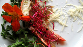 Salate/Vorspeisen